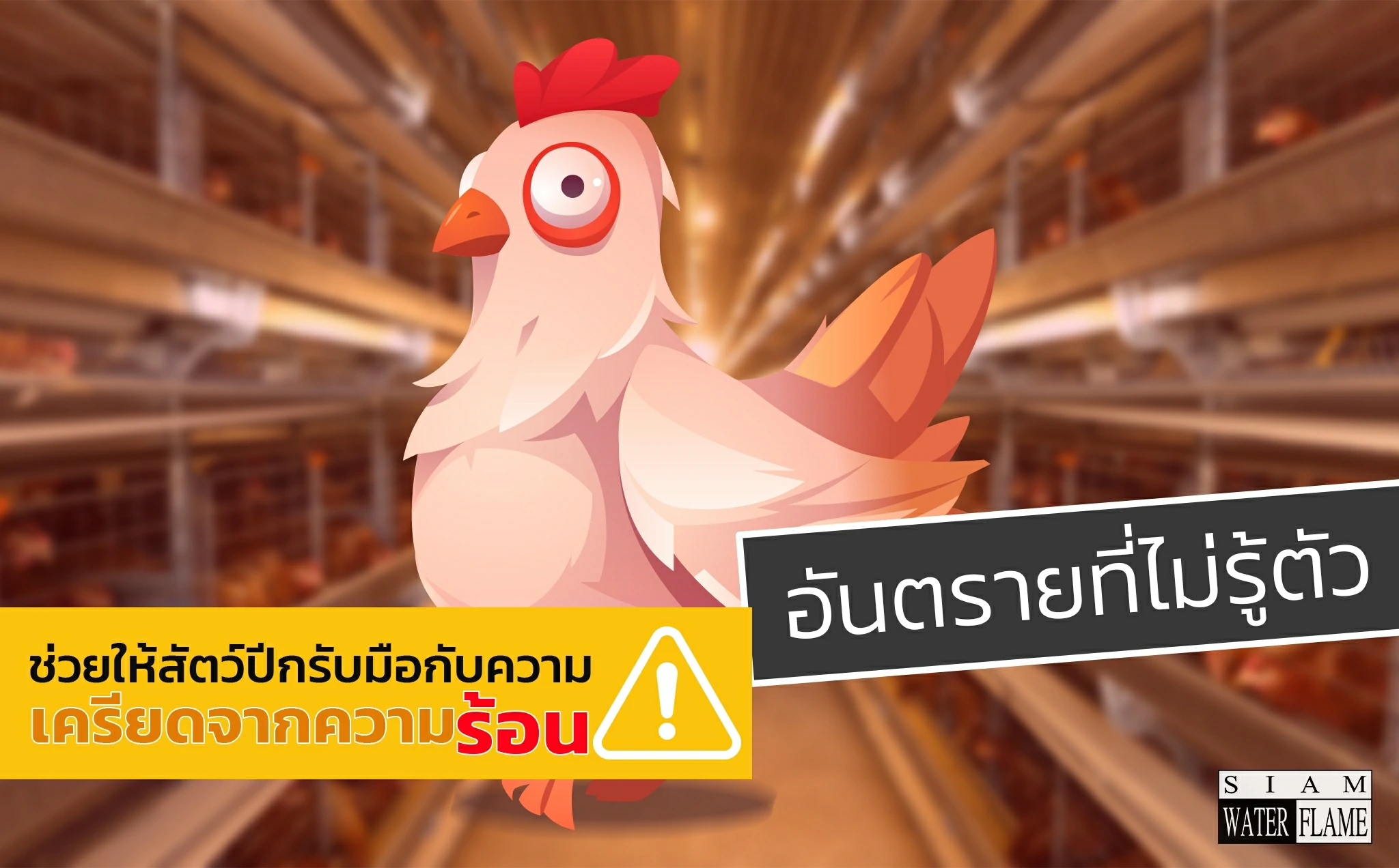 Giải pháp dinh dưỡng cho gia cầm