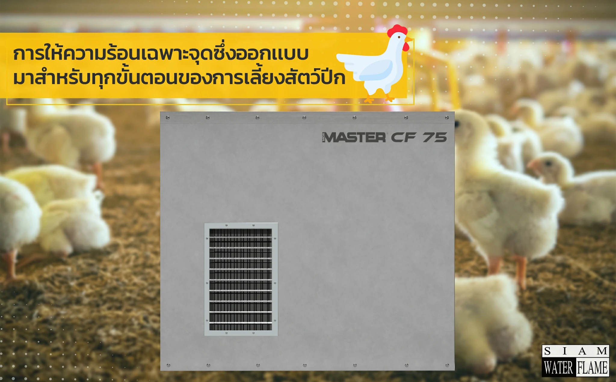 Hệ thống sưởi ấm cục bộ trong sản xuất gia cầm
