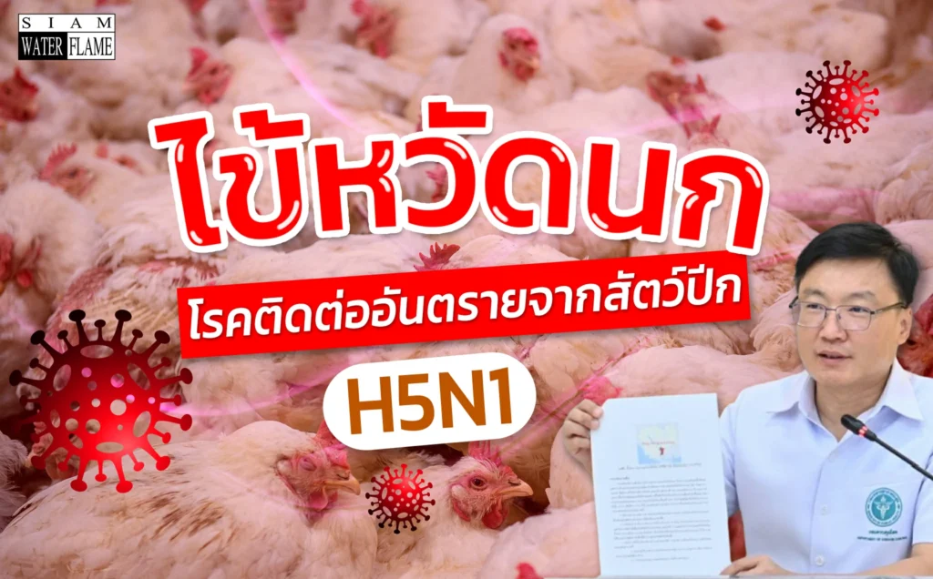 ไข่หวัดนก H5N1 ระบาด